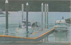 Picture1