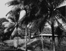 banfield s cottage on dunk island cc libraries