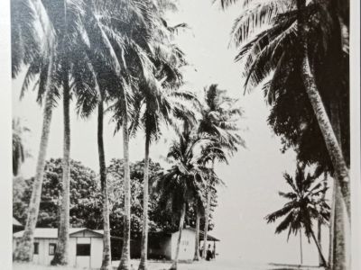 dunk island   the hut on the right above the high tide was the bar state library of qld