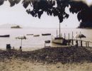dunk island and purtaboi island cc libraries