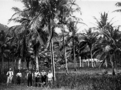e.banfield and friends on dunk island state library of qld4
