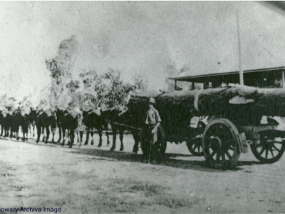 eddie garner  jnr  and horse team hauling logss cc libraries
