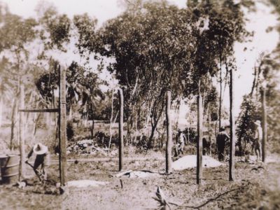 hugo brassey s house being built  first posts  dunk island cc libraries