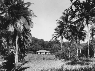 residence of e.banfield on dunk island cc libraries