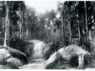 lacey s creek crossing cc libraries lacey s creek crossing cc libraries